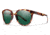 Smith Optics Bridgetown Sunglasses, Yellow Tortoise/Green, OSFA BNPCGRYT
