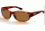Smith Optics Padre Reader Sunglasses - Tortoise frames, Polarized Brown lenses