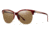 Smith Optics Rebel Progressive Prescription Sunglasses, Vintage Havana Frame, Polarized, BLPPBRVHVPR