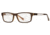 Tod's TO5003 Eyeglass Frames - Dark Brown Frame Color