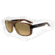 Arnette Glory Daze Sunglasses - Havana Frame and Polarized Brown Gradient Lens AN4161-02