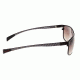 Sunglasses Neptune 008BN, Brown Titanium Frame, Brown/Gradient Lens