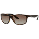 Carrera 8001/S Bifocal Prescription Sunglasses CA8001S-02XL-LA-6116 - Frame Color Havana, Lens Diameter 61 mm