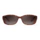 Carrera 8016/S Sunglasses CA8016S-06XV-LA-6015 - Havana Black Frame, Brown Gradient Polz Lenses, Lens Diameter 60mm, Distance Between Lenses 15mm