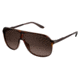 Carrera New Safari/S Progressive Prescription Sunglasses NEWSAS-0KME-J6-6208 - Frame Color Havana Brown, Lens Diameter 62 mm