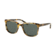 Coach L1657 HC8220 Sunglasses 517171-54 - , Green Solid Lenses