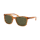 Coach L1657 HC8220 Sunglasses 558171-54 - , Green Solid Lenses