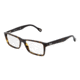 D&amp;G DD1233 Eyeglass Frames 502-5316 - Havana Frame