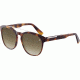 Davidoff 97142 Bifocal Prescription Sunglasses, Brown Havana Frame, 97142-6311BI