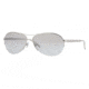 DKNY DY 5061 Sunglasses Styles - Matte Silver Gray Mirror Silver Gradient Frame, 10296V-5814