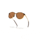 Oakley Sielo Sunglasses, Brown Tortoise, PRIZM Bronze Polarized, PRIZM Bronze Polarized, OO9288-0357