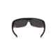 Popticals PopGear Sunglasses, Smoke/Clear Crystal Matte Frame, Gray Lens, Polarized, 030050-SEGP