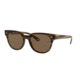 Ray-Ban BLAZE METEOR RB4368NF Sunglasses 820/73-45 - , Dark Brown Lenses