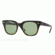 Ray-Ban METEOR RB4168 Sunglasses 107614-50 - Black On Yellow Havana