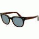 Ray-Ban METEOR RB4168 Sunglasses 107762-50 - Blue On Havana