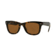 Ray-Ban RB 4105 Sunglasses Styles Light Havana Frame, Crystal Brown Polar 50 mm Lenses, 710-57-5022