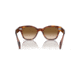 Ray-Ban RB0880SF Sunglasses, Striped Havana Frame, Clear Gradient Brown Lens, Asian Fit, 53, RB0880SF-954-51-53