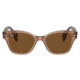 Ray-Ban RB0880SF Sunglasses, Transparent Brown Frame, Brown Polarized Lens, Asian Fit, 53, RB0880SF-664057-53