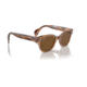 Ray-Ban RB0880SF Sunglasses, Transparent Brown Frame, Brown Polarized Lens, Asian Fit, 53, RB0880SF-664057-53