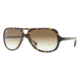 Ray-Ban RB4162 Sunglasses 710/51-59 - Light Havana Frame, Crystal Brown Gradient Lenses