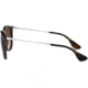 Ray-Ban RB4171 Sunglasses 631513-54 - Trasparent Brown Sp Blue Frame, Brown Gradient Dark Brown Lenses