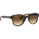 Ray-Ban RB4203 Sunglasses 710/13-51 - Shiny Havana Frame, Brown Gradient Lenses