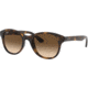 Ray-Ban RB4203 Sunglasses 710/13-51 - Shiny Havana Frame, Brown Gradient Lenses