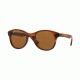 Ray-Ban RB4203 Sunglasses 820/73-51 - Shiny Striped Havana Frame, Dark Brown Lenses