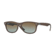 Ray-Ban RB4207 Sunglasses 6033T5-52 - Matte Brown Frame, Grey Gradient Brown Polar Lenses