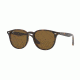 Ray-Ban RB4259F Sunglasses 710/73-53 - Shiny Havana Frame, Brown Lenses
