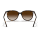 Ray-Ban RB4378F Sunglasses, Havana Frame, Brown Gradient Lens, Asian Fit, 54, RB4378F-710-13-54
