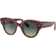 Ray-Ban Roundabout RB2192F Sunglasses, Havana On Transparent Purple, 47, RB2192F-1323BH-47
