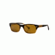 Reptile Sun Boomslang Sunglasses, Stripe Tortoise Fade Frame, Polarized Gold Glass Lens, Polarized, BOOGST