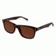 Sperry Top-Sider Wainscott Sunglasses - Frame Brown Horn, Lens Color Solid Brown, Size 53/20mm SPWAINSCOTT02