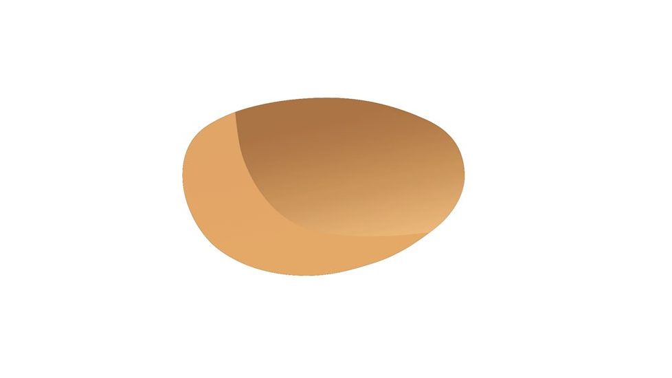 Bolle Draft Eaglevision 2 Dark Lens 50310