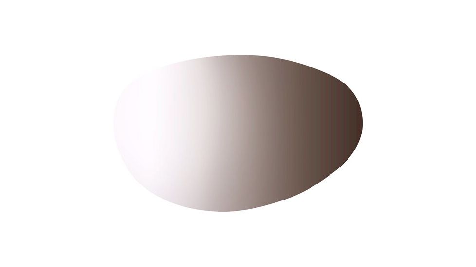 Bolle Helix Photo Clear Grey Lens 50261