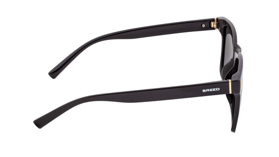 Breed Sunglasses Pictor Polarized Sunglasses - Men's, Black/Blue, One Size, BSG065BL