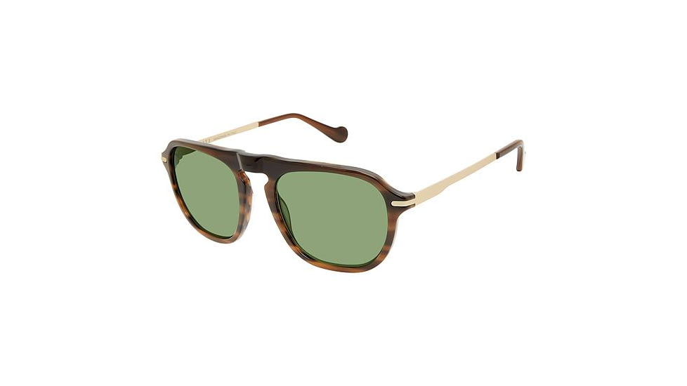 Canali 219 Sunglasses - Frame BROWN HORN/GOLD, Lens Color G-15, Size 54/20mm CO21901