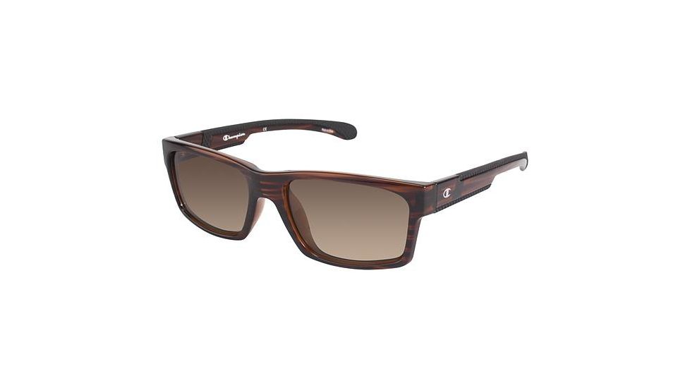 Champion 6019 Sunglasses - Frame BROWN TORT, Lens Color Brown CU601903
