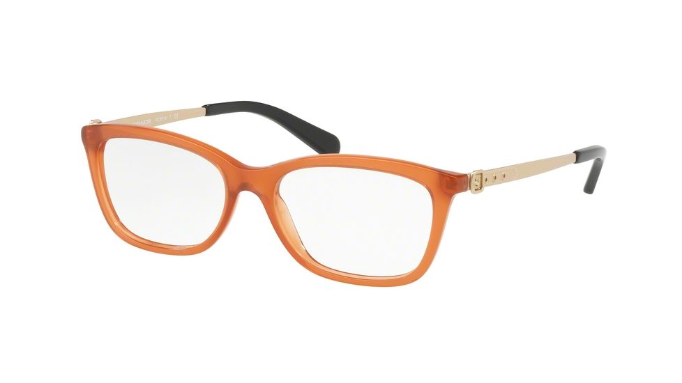 Coach HC6114 Eyeglass Frames 5502-51 - Amber Frame, Demo Lenses