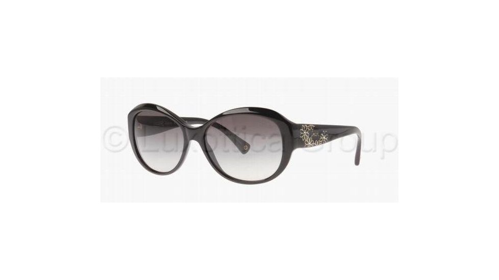 Coach L021 PAYTON HC8010B Sunglasses 500211-5716 - Black Gray Gradient