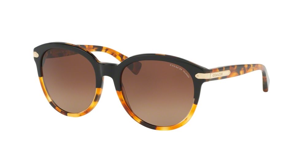 Coach L554 HC8140F Sunglasses 5438T5-55 - Black Tortoise/Tortoise Frame, Brown Gradient Polar Lenses