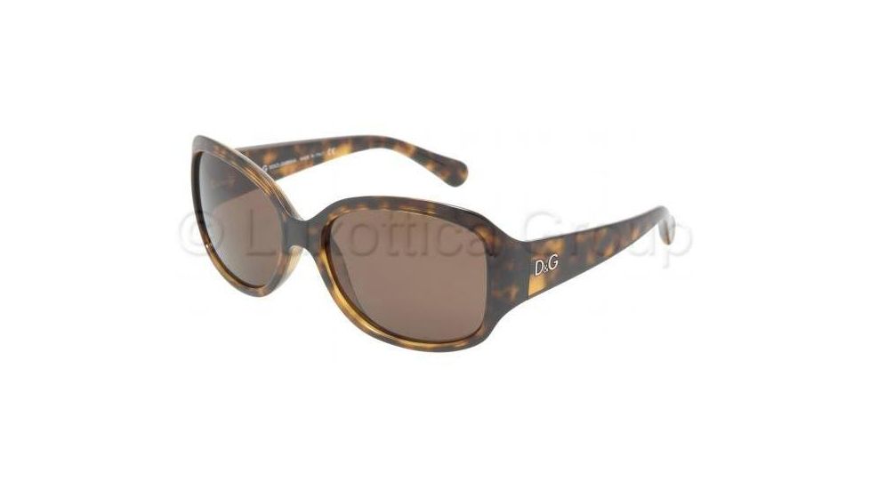 D&amp;G DD 8065 Sunglasses Styles Havana Frame / Brown Lenses, 502-73-5916, DandG DD 8065 Sunglasses Styles Havana Frame / Brown Lenses