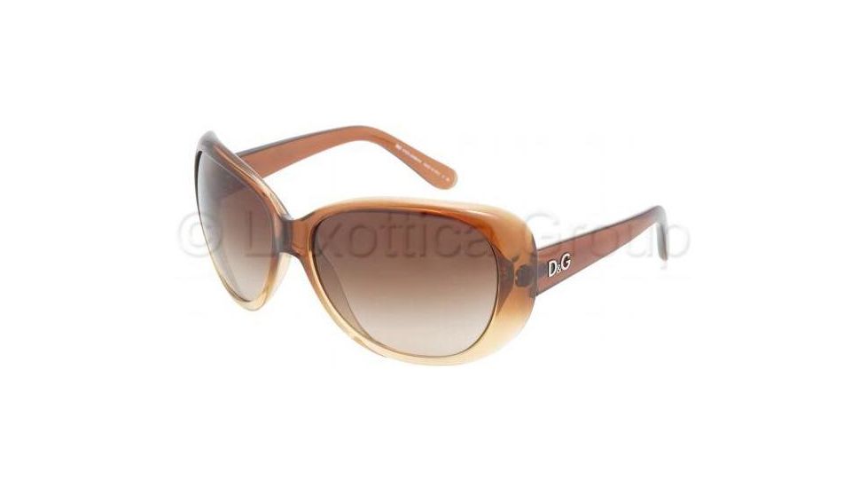 D&amp;G DD8081 Sunglasses 178113-6215 - Brown Gradient Brown Gradient