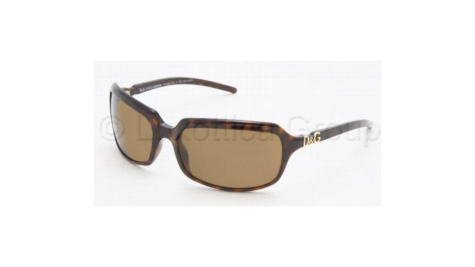 D&G Sunglasses DD2192 502/83-6217 - Havana Polarized Brown