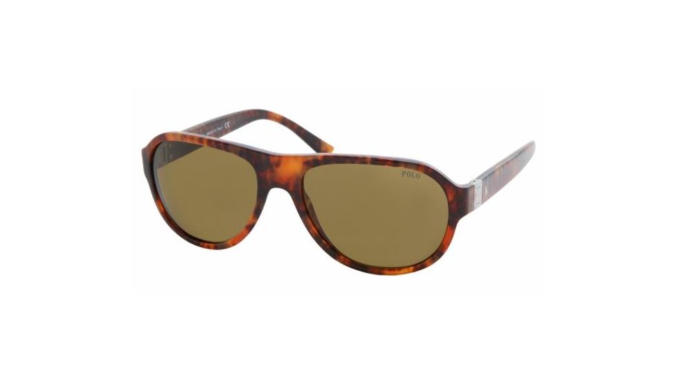 Polo PH4037 Bifocal Sunglasses - Spotted Havana Brown Frame w/ 56 mm Diameter Lenses, 501773-5617