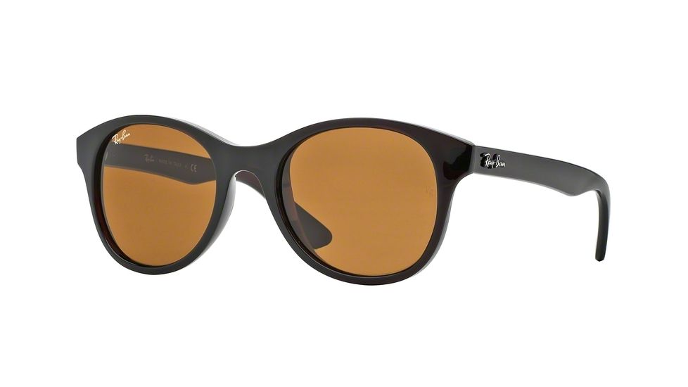 Ray-Ban RB4203 Sunglasses 714-51 - Shiny Brown Frame, Brown Lenses