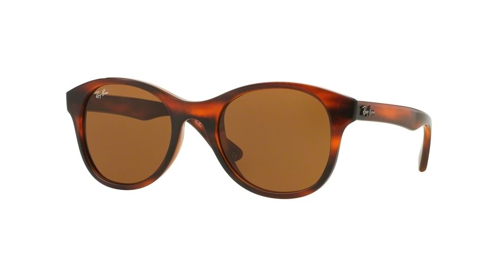 Ray-Ban RB4203 Sunglasses 820/73-51 - Shiny Striped Havana Frame, Dark Brown Lenses