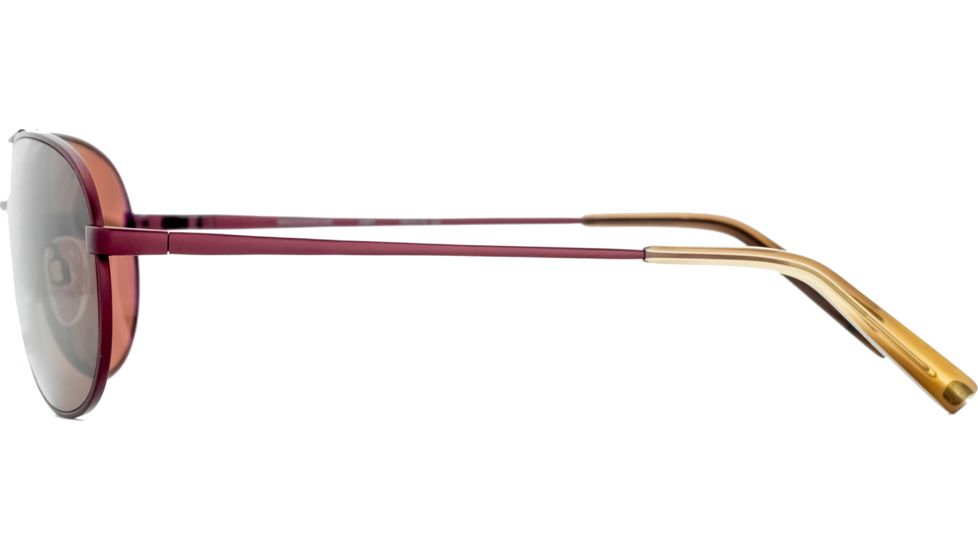 Reptile Sun Madagascar Sunglasses, Dark Brown Frame, Titanium Gold/Poly Lens, Polarized, MADGDB