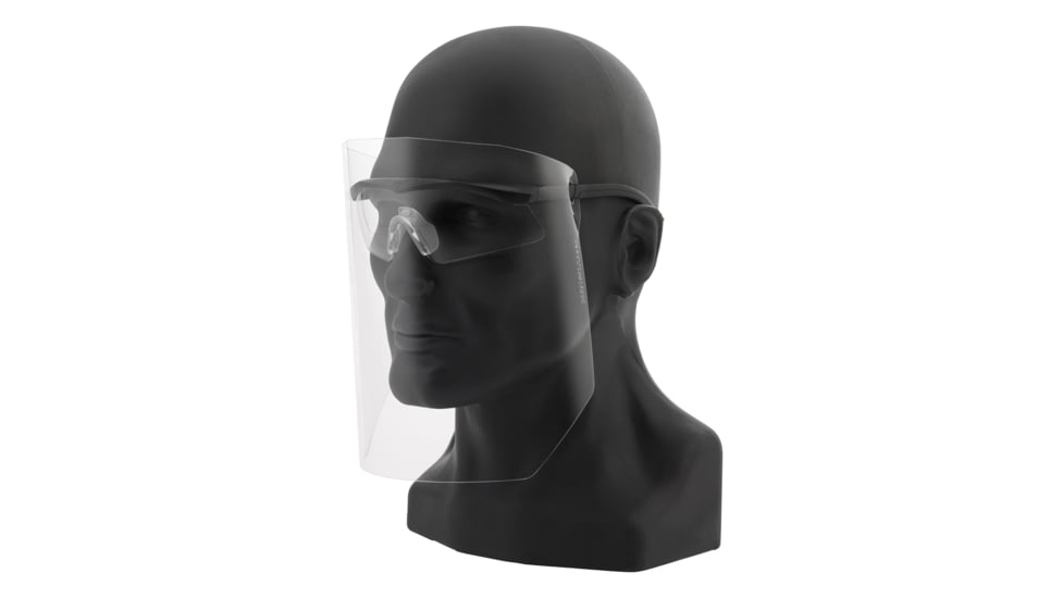 Revision Sawfly Legacy Eyewear System w/ Face Shield, Clear, Regular, 4-0090-9010